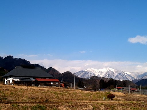 のどかな日