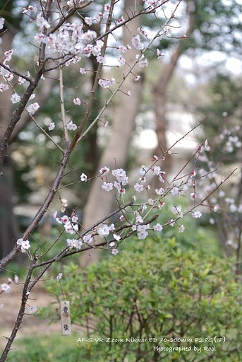 Spring Report