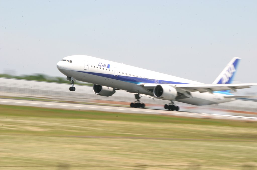 飛行機