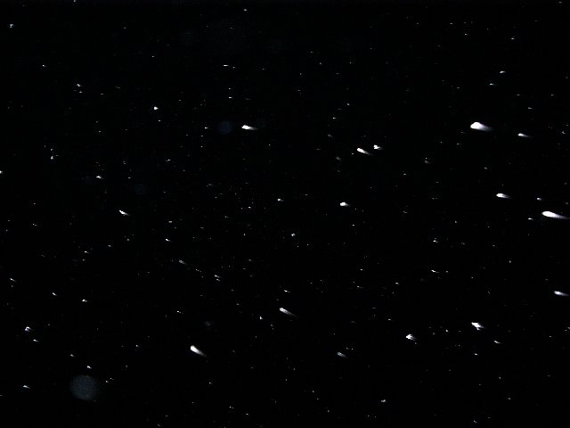 冬の夜空
