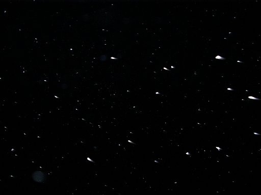 冬の夜空