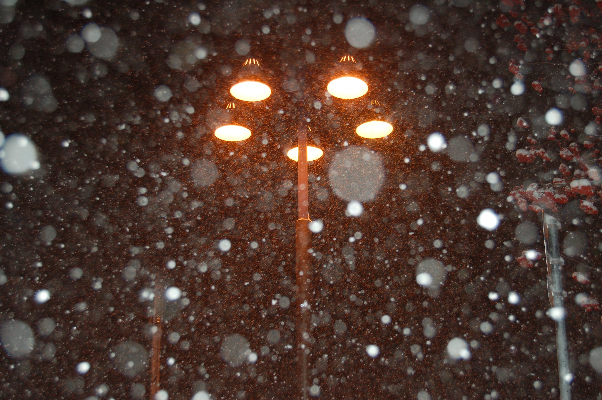 今日は大雪になりそう・・・