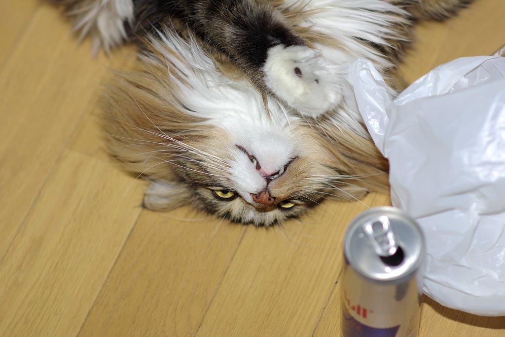 ちょいと古いが