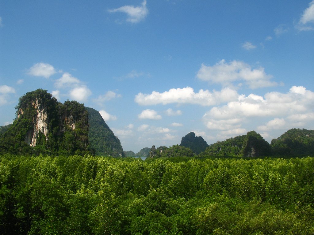 森と山
