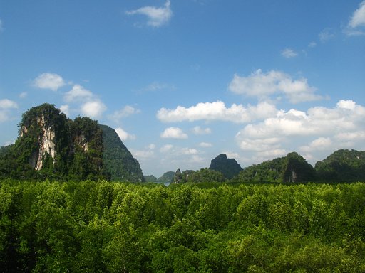 森と山