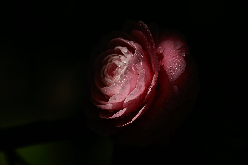 AF100mm 2.8 new