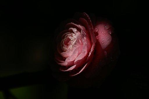 AF100mm 2.8 new