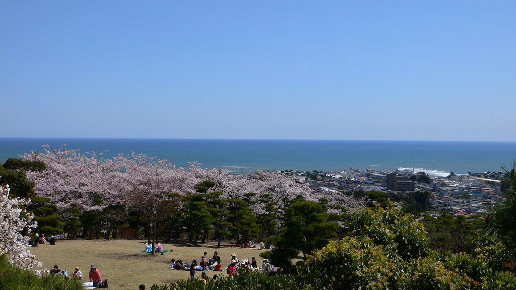 日立かみね公園・・・