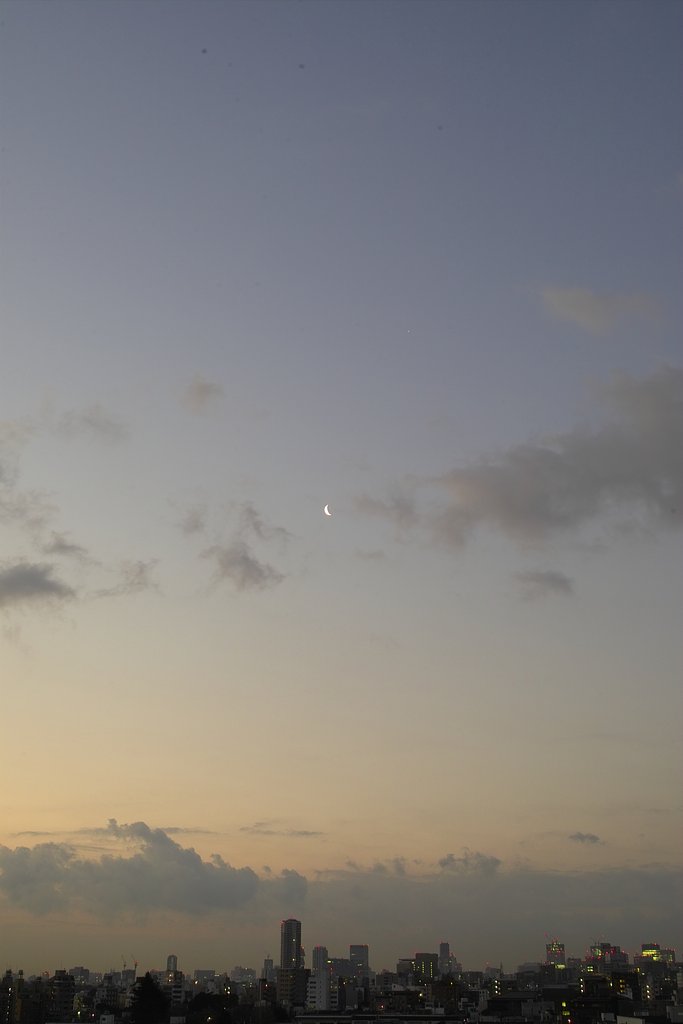朝の月