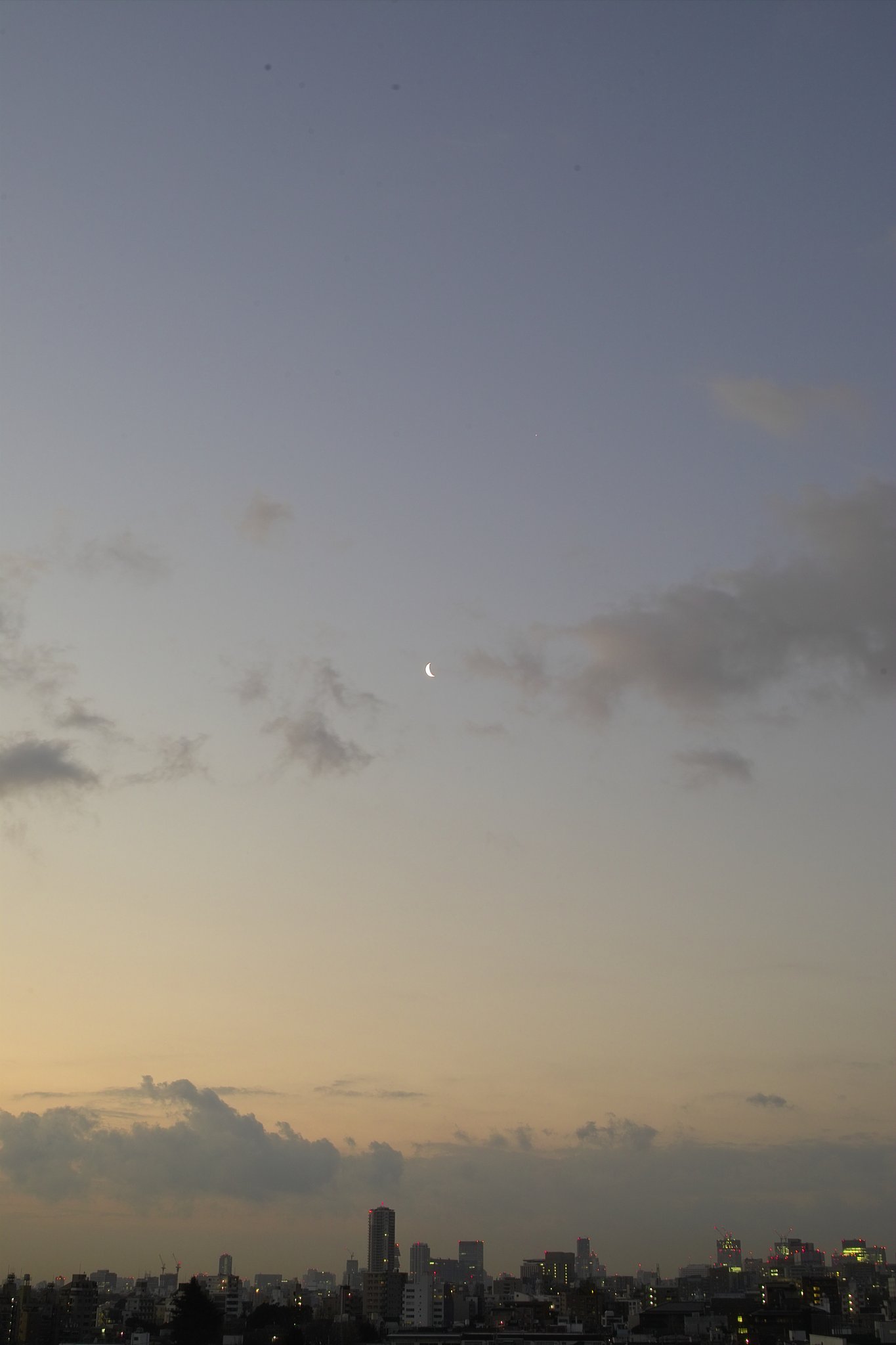 朝の月
