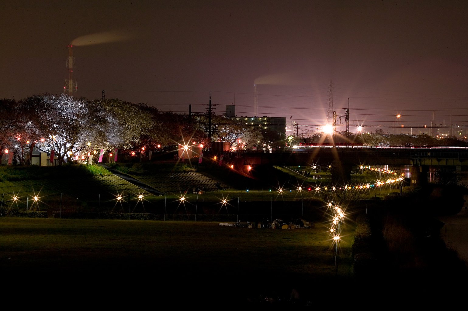 夜桜と光