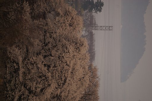 竹生島