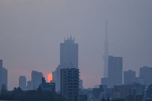 2月23日の写真