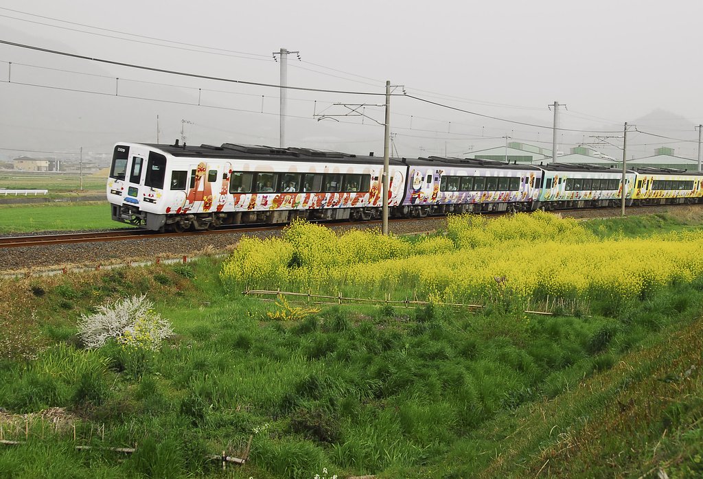 菜の花とアンパン列車