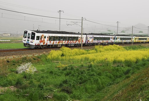 菜の花とアンパン列車