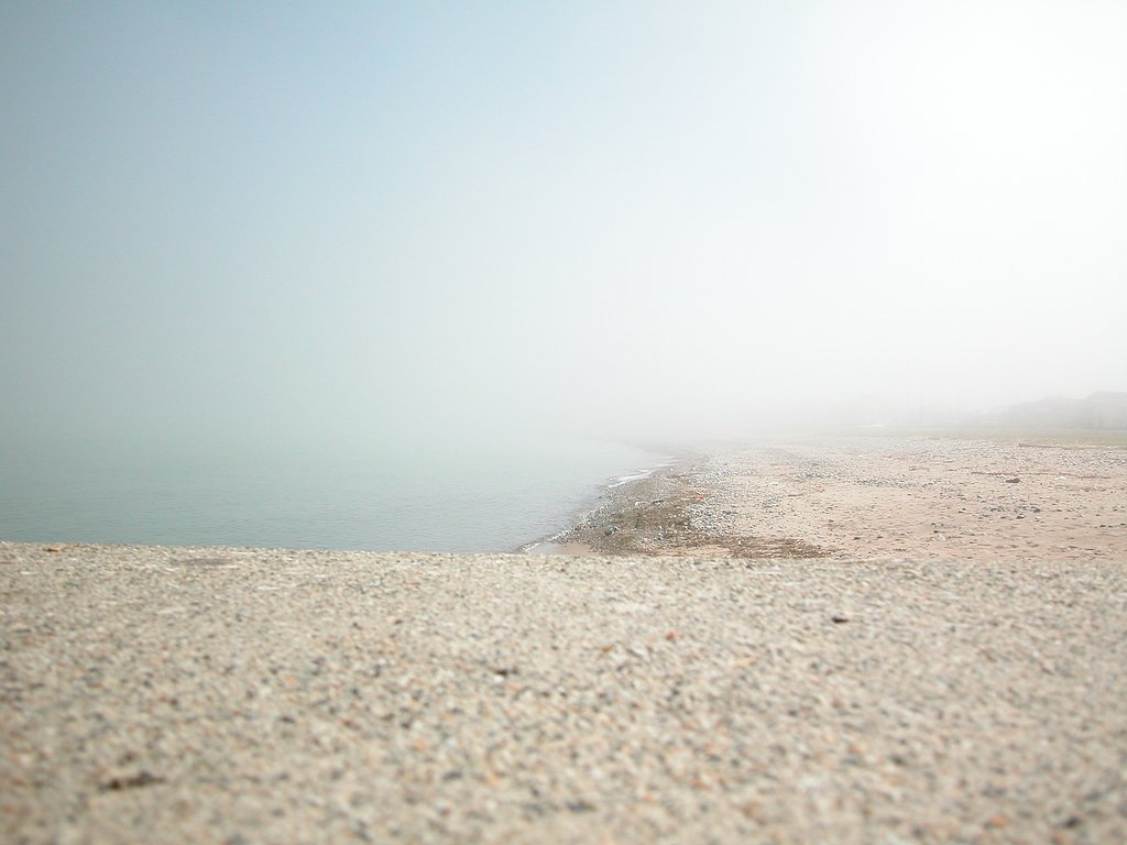 Misty　morning