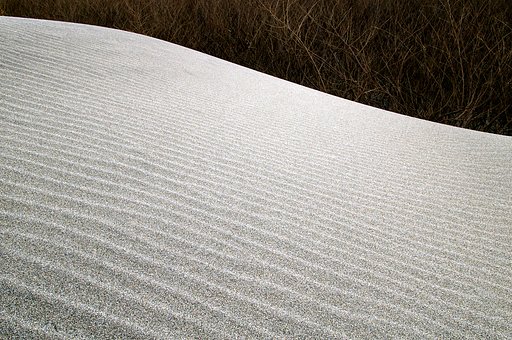浜の調べ