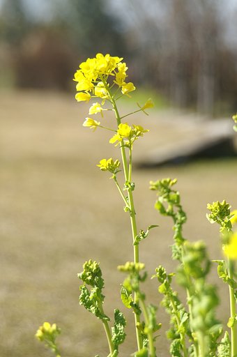 xi 28-105 F3.5-4.5