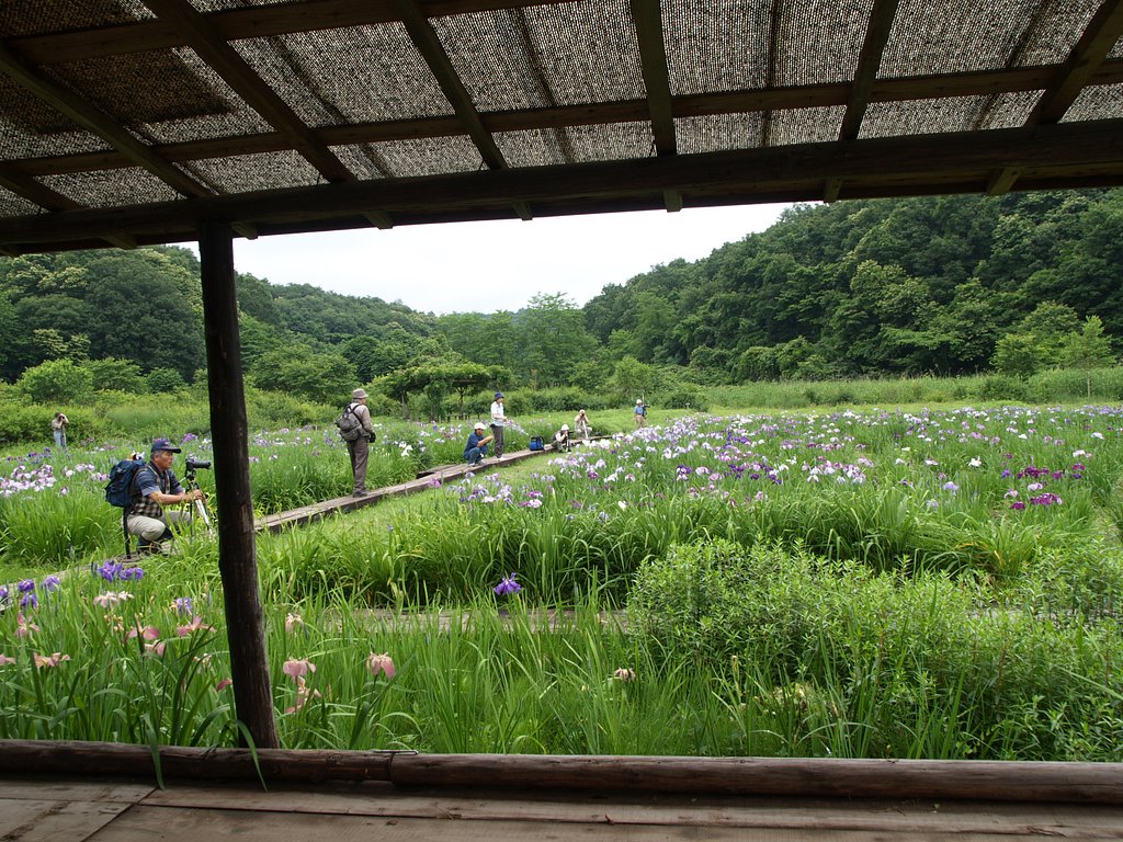 隣は何を撮る人ぞ？