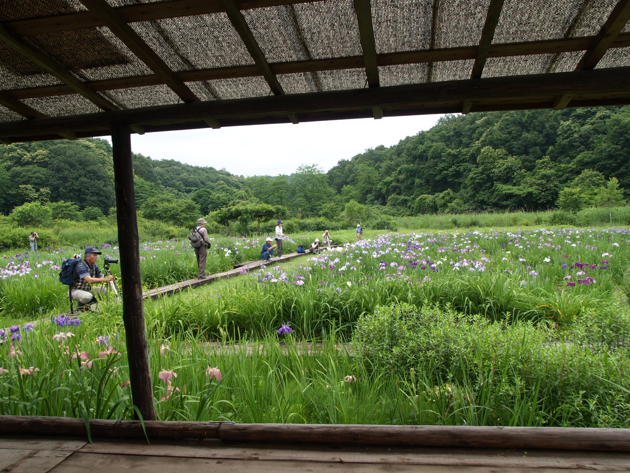 隣は何を撮る人ぞ？