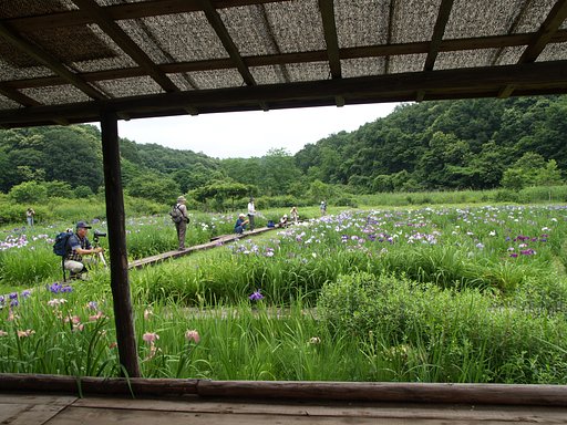 隣は何を撮る人ぞ？