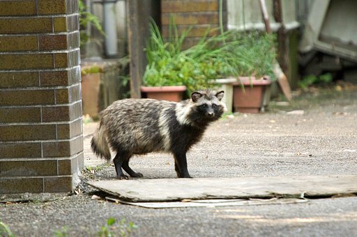 今日は久々に兄弟に会ってきました。