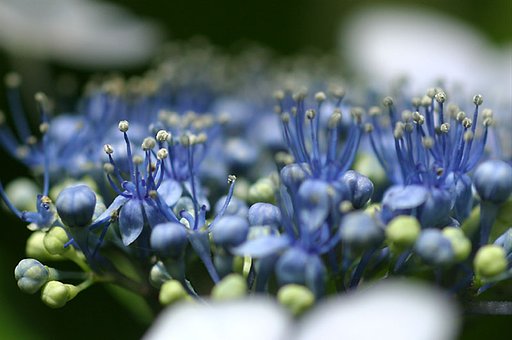 梅雨の晴れ間に