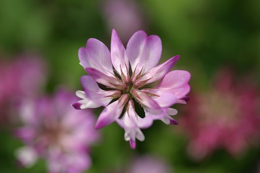 4月18日の写真