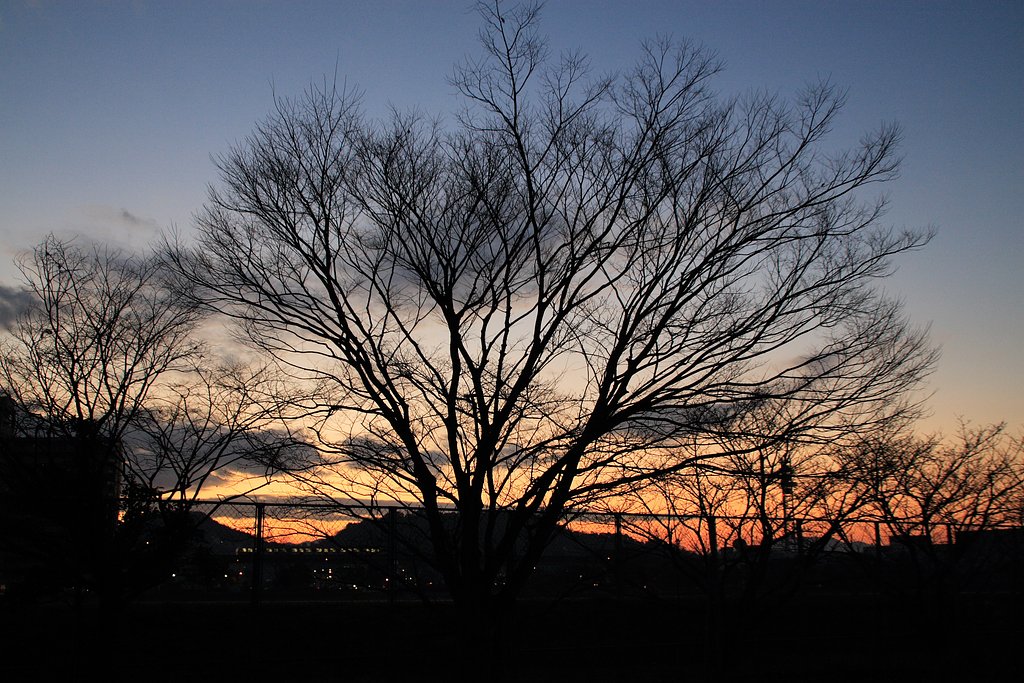 EOS30D&DPP（その3）