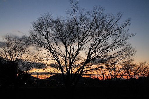 EOS30D&DPP（その3）