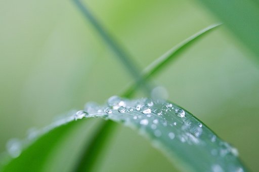 天然の水晶