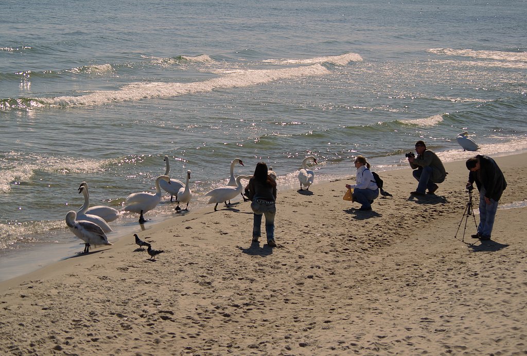 SOPOT
