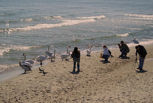 SOPOT
