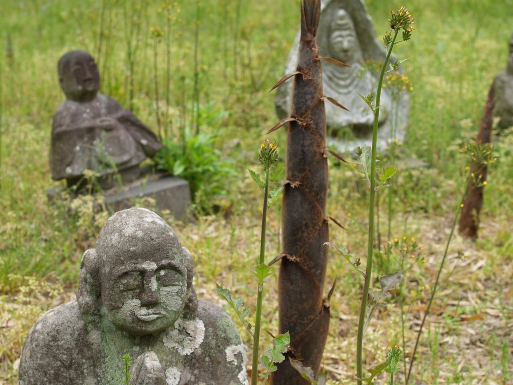 筍と羅漢さま