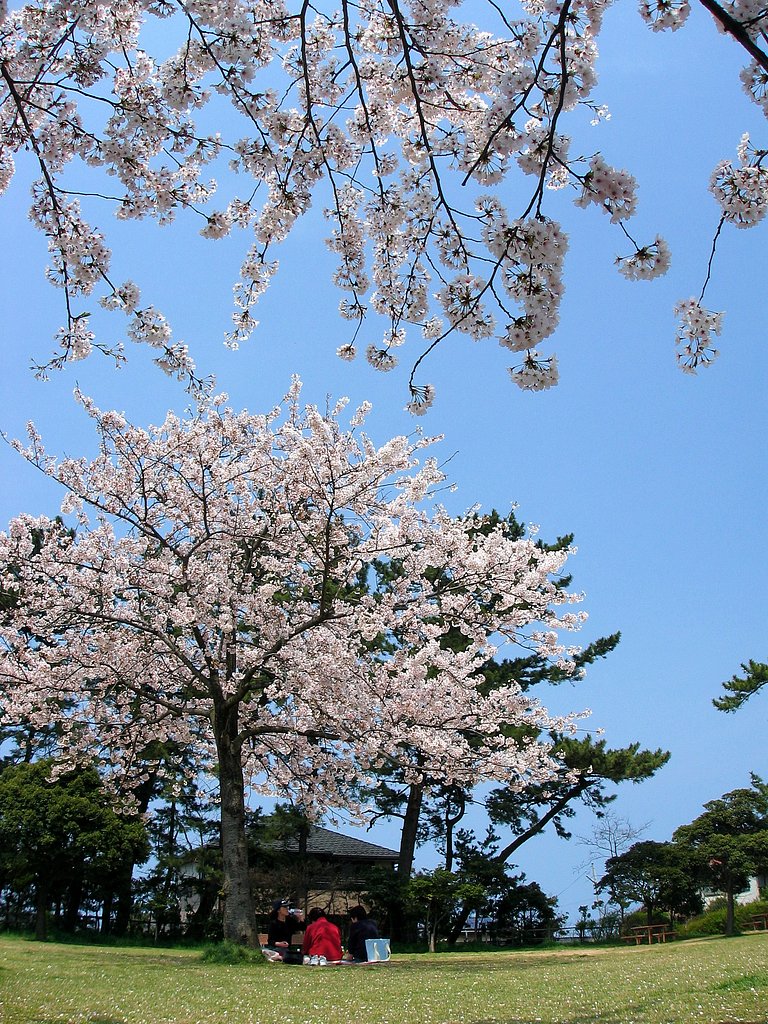 ひととき