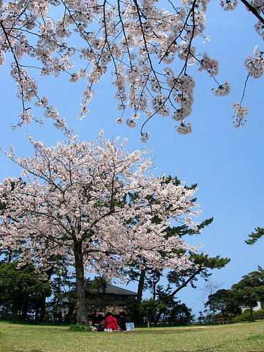 ひととき