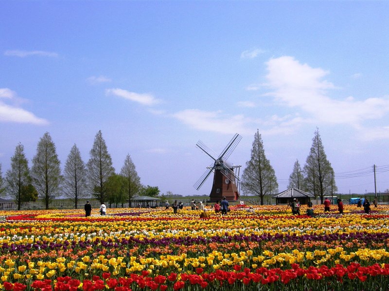 あけぼの山農場公園です