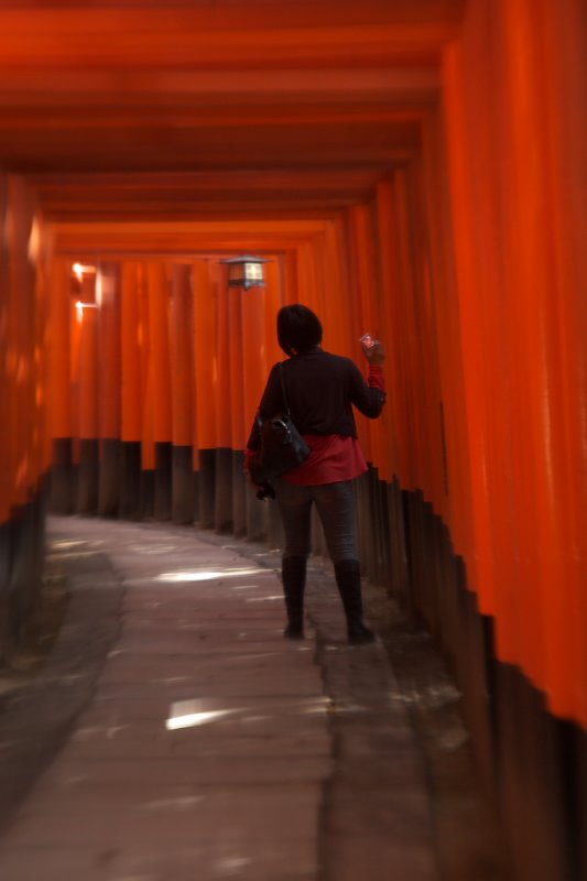 京都夢紀行