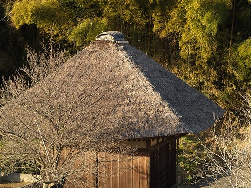 【写楽】梅は咲いたか桜はまだかいな！
