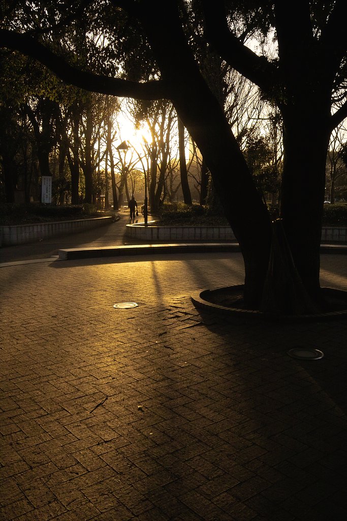 上野公園