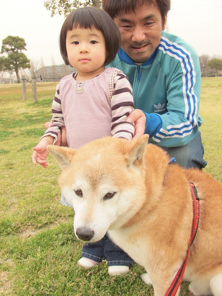 わんちゃ〜あん！！