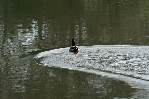 水面