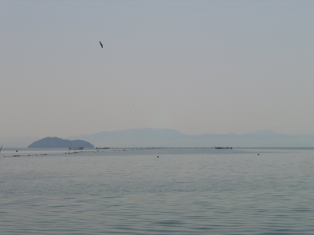 琵琶湖