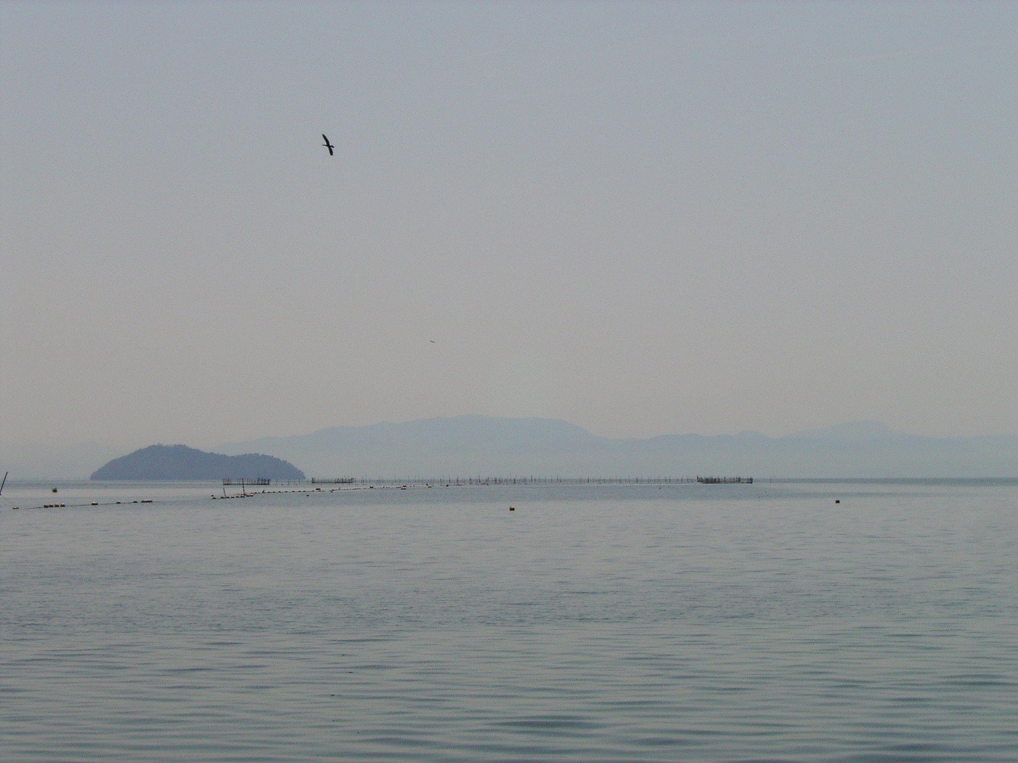 琵琶湖