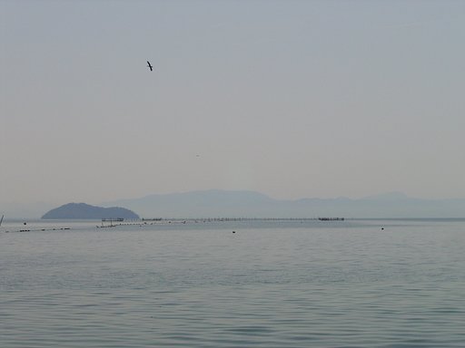 琵琶湖