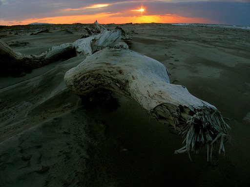 暮れる浜
