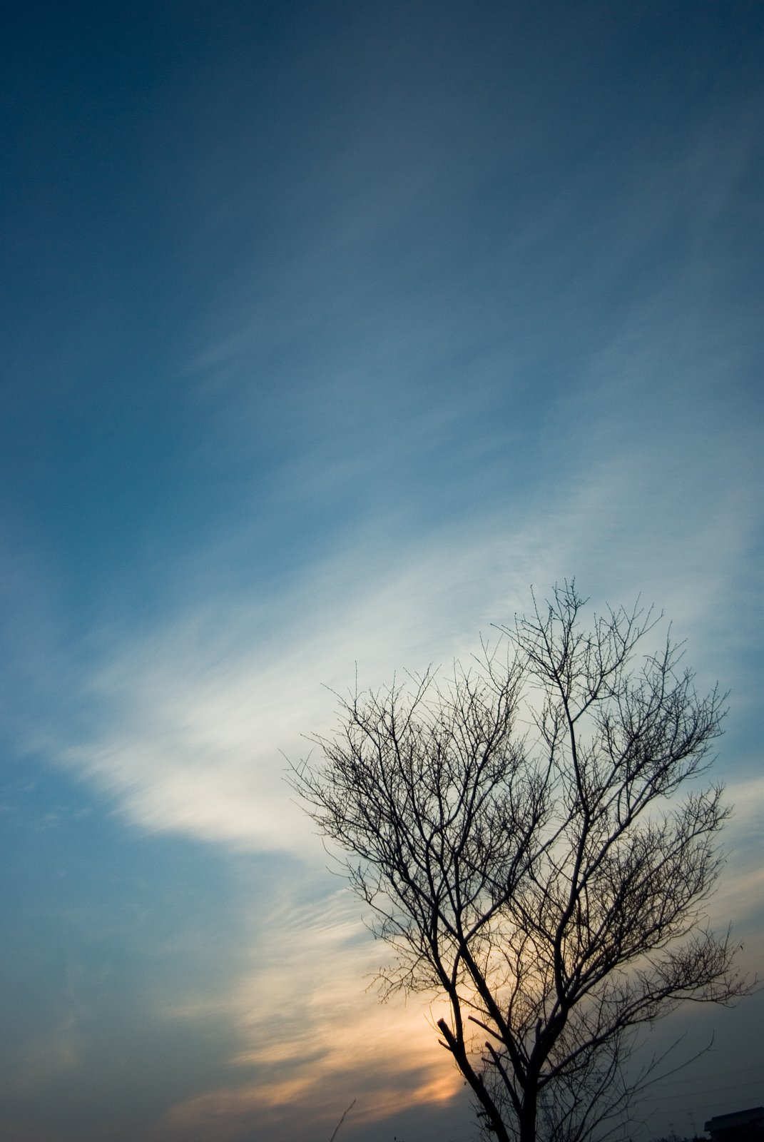 【写楽】雲の影