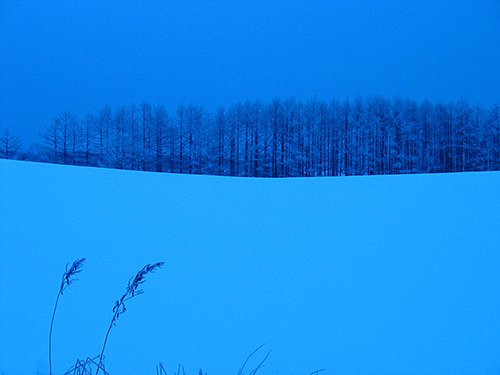冬の北海道