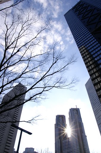 【写楽】冬の新宿