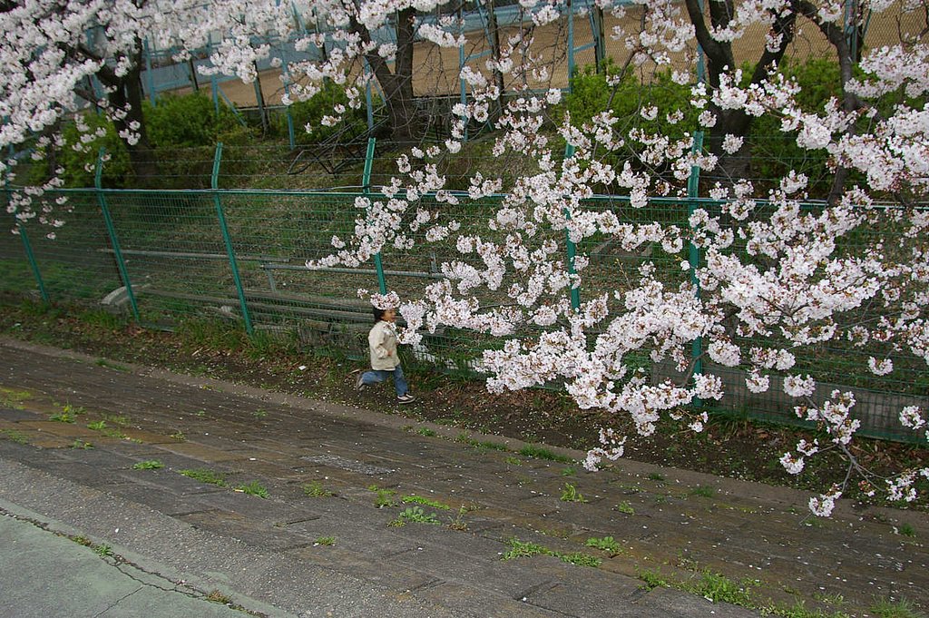 さいたぁ〜